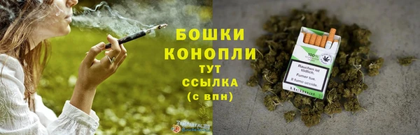 мдпв Вяземский