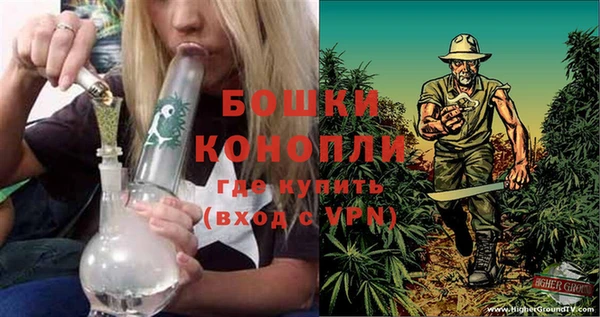 PSILOCYBIN Вязники
