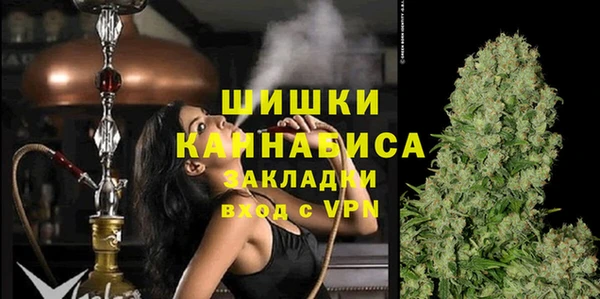 мдпв Вяземский