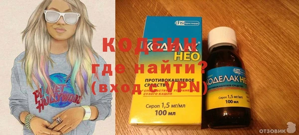 мдпв Вяземский