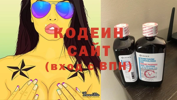 ПСИЛОЦИБИНОВЫЕ ГРИБЫ Горняк