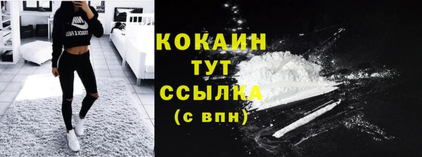 PSILOCYBIN Вязники