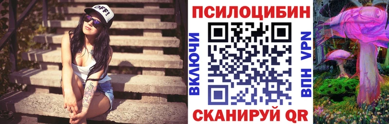 ссылка на мегу онион как найти Енисейск Псилоцибиновые грибы GOLDEN TEACHER